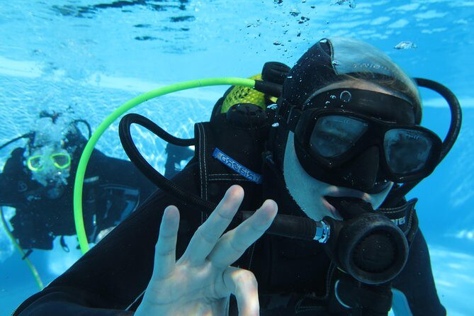 Discover Scuba Diving or Try dive - Price and Value Analysis