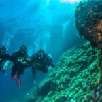 Discover Scuba Diving PADI - Trial dive in Sorrento - Analyzing the Value