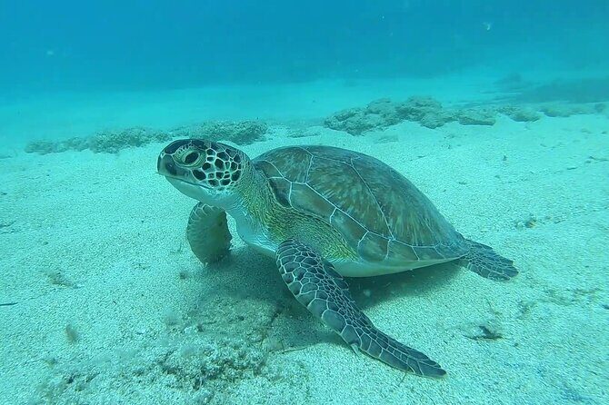 Discover SCUBA Diving with Pissouri Bay Divers - The Sum Up
