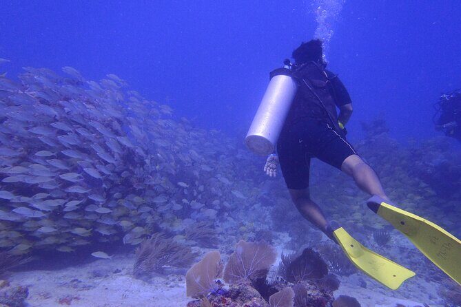 Discover Scuba - The Value of This Experience