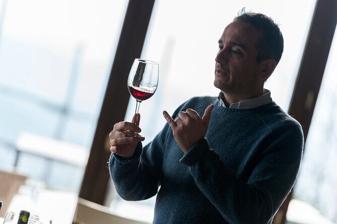 Discover Sustainable Wines in a Guided Tour and Tasting - The Itinerary in Detail