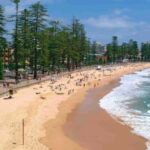 Discover Sydney - Private walking tour - The Sum Up