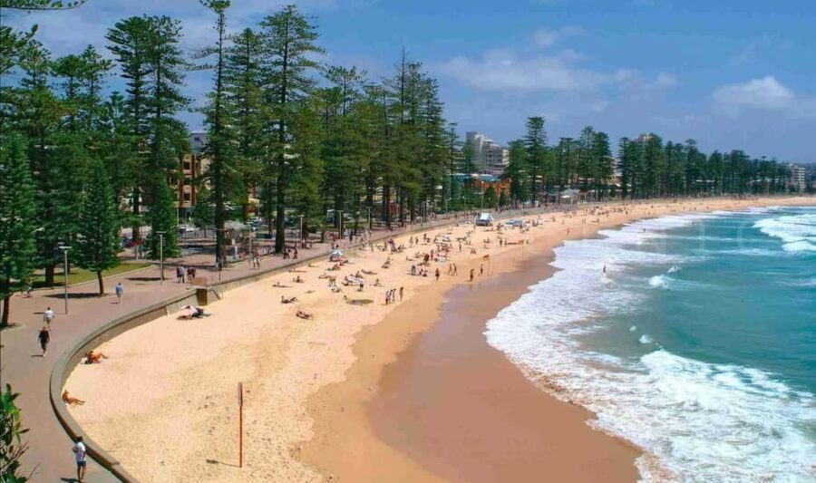 Discover Sydney - Private walking tour - The Sum Up