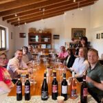 Discover the Amarone wine: 1 winery with delicious food pairing - Who Will Love This Tour?
