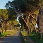 Discover The Ancient Appian Way in confort: a golf cart adventure - Final Thoughts