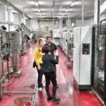 Discover the best cellars of Salento - Practical Tips for Travelers