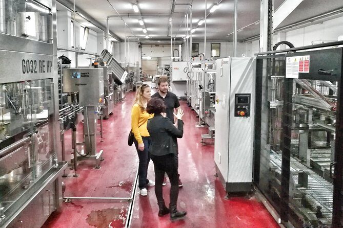 Discover the best cellars of Salento - Practical Tips for Travelers