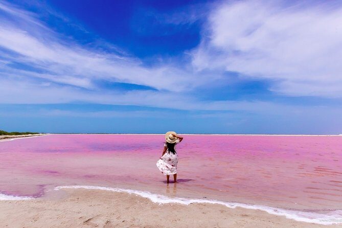 Discover the FABULOUS PINK WATERS in the Caribean - Frequently Asked Questions