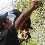 Discover the fantastic world of birds of prey in the Pollino National Park. - Who Would Love This Tour?