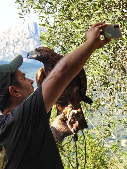 Discover the fantastic world of birds of prey in the Pollino National Park. - Who Would Love This Tour?