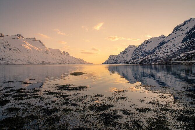 Discover the Fjords of Kvaloya - a roadtrip along fjords and fishing villages - FAQs