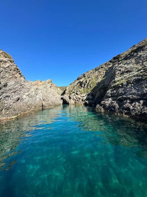 Discover the Îles d'Or in a brand new private boat for 14 people. - Final thoughts: Is this tour worth it?