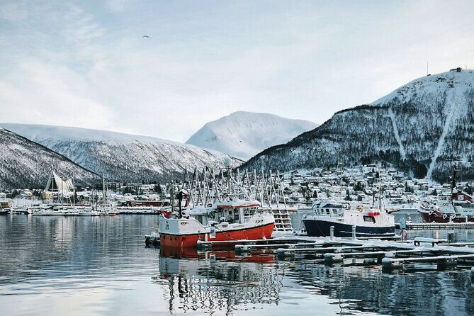 Discover the most Photogenic Spots of Tromsø with a Local - Who Is This Tour Best For?