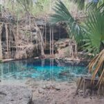 Discover the Serenity: A Tour of the Hidden Cenotes (PVT) - Who Will Enjoy This Tour Most?