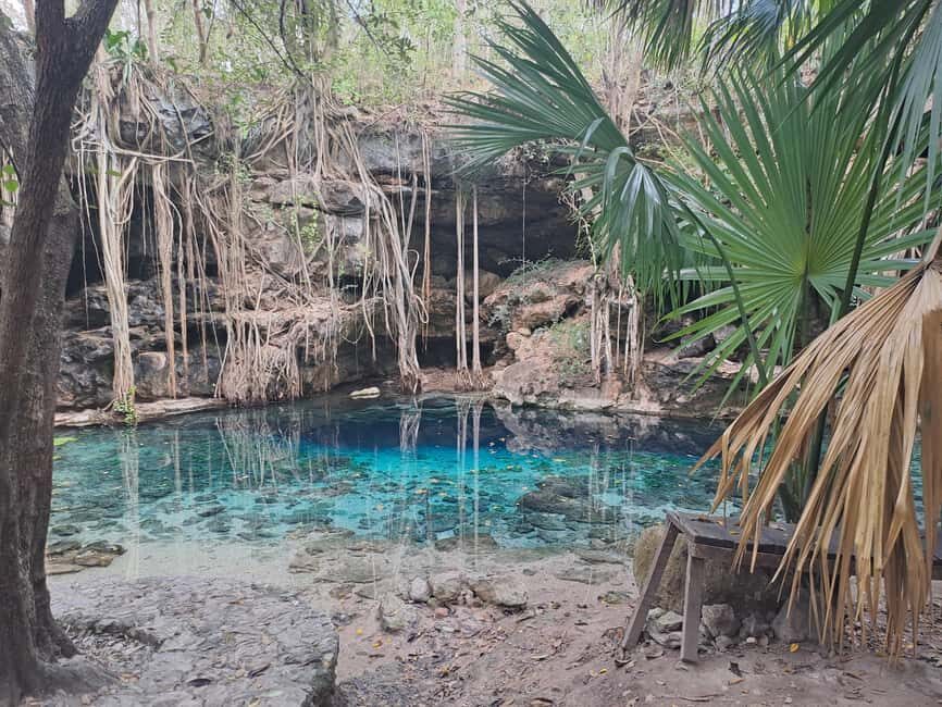 Discover the Serenity: A Tour of the Hidden Cenotes (PVT) - Who Will Enjoy This Tour Most?