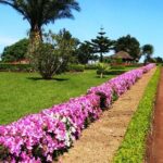 Discover the unexplored beauty of the island by jeep the Nordeste - Detailed Itinerary Breakdown
