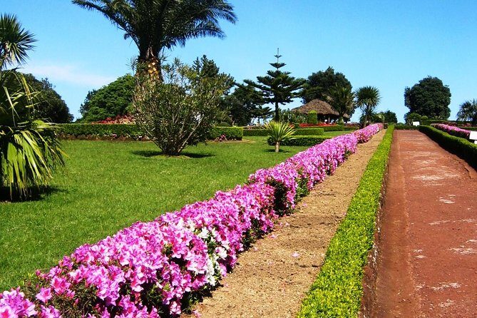 Discover the unexplored beauty of the island by jeep the Nordeste - Detailed Itinerary Breakdown