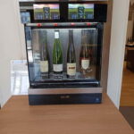Discover the Wines of Alsace and a brief introduction to Strasbourg. - An In-Depth Look at the Tour