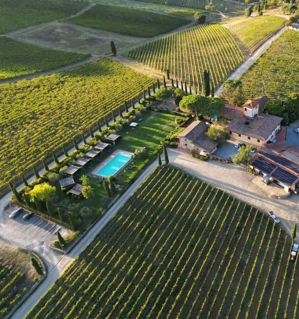 Discover the wines of Chianti Classico with a visit and tasting at Viticcio. - A Deep Dive into the Viticcio Experience