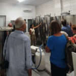 Discover the world of Extra Virgin Olive Oil - Exploring the Tour: A Deep Dive into Experience and Value