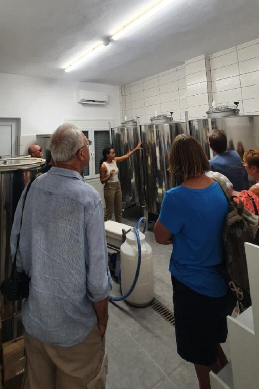 Discover the world of Extra Virgin Olive Oil - Exploring the Tour: A Deep Dive into Experience and Value