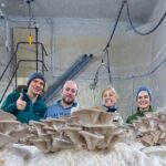 Discover the World of Mushrooms - Breaking Down the Itinerary