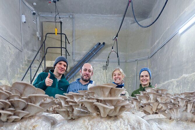 Discover the World of Mushrooms - Breaking Down the Itinerary