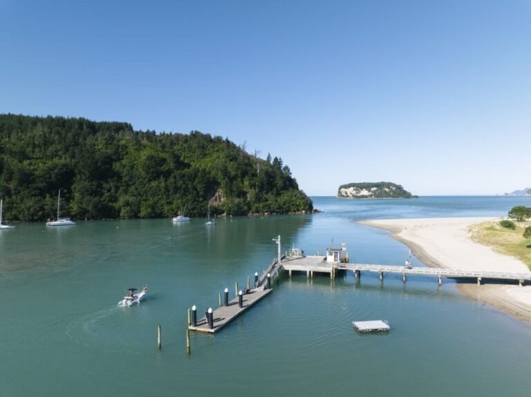 Discover Whangamata - Boat Tour - Deep Dive into the Experience