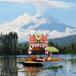 Discover Xochimilco and Coyoacán: Tradition, Music, Culture - The Value of the Tour: Breaking Down Cost and Experience
