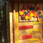 Discovering Bees in Volterra - Beyond Honey: Other Bee Products