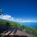 Discovering the emblematic sites of Tahiti - Who Is This Tour Best For?
