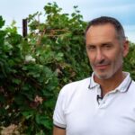 Discovering the mystery grape varieties - FAQs