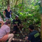 Discovery Bush Walk from Port Vila - The Experience in Detail