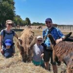 Discovery day in the footsteps of Baudet du Poitou - Exploring the Itinerary in Detail