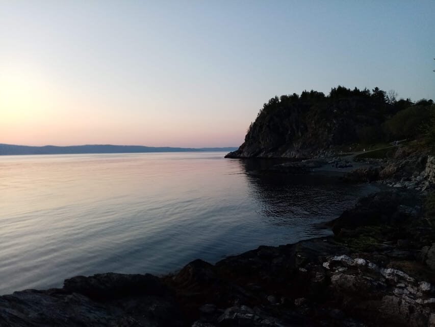 Discovery hike along the Trondheimsfjord - The Experience: What You Can Expect