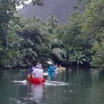 Discovery in Kayaking of the Faaroa River in Raiatea - Who Will Love This Tour?