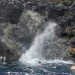 Discovery of the Tahiti Teahupo'o Jurassic Tour peninsula - Why This Tour Offers Great Value