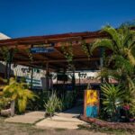 Discovery Taco Tour at Puerto Vallarta - Who Should Consider This Tour?