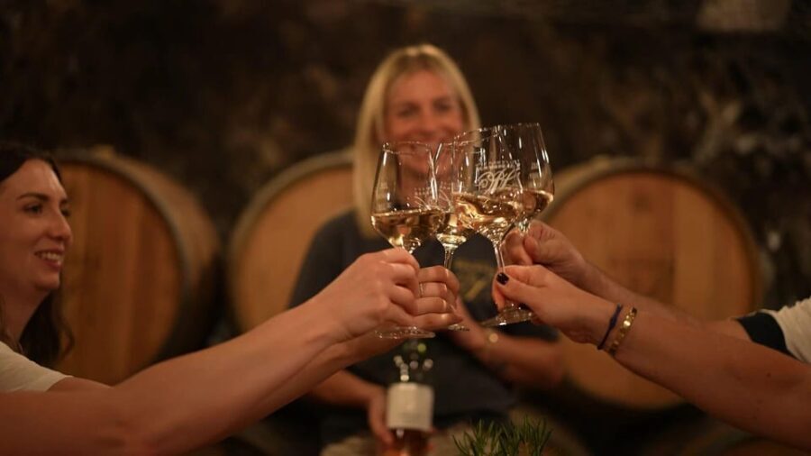 Discovery tour - cellar tour with wine tasting - A Practical and Authentic Wine Experience in Koblenz