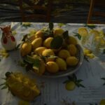 Discovery Tour of Sorrento Lemon in Massa Lubrense - Exploring the Authentic Sorrento Lemon Experience