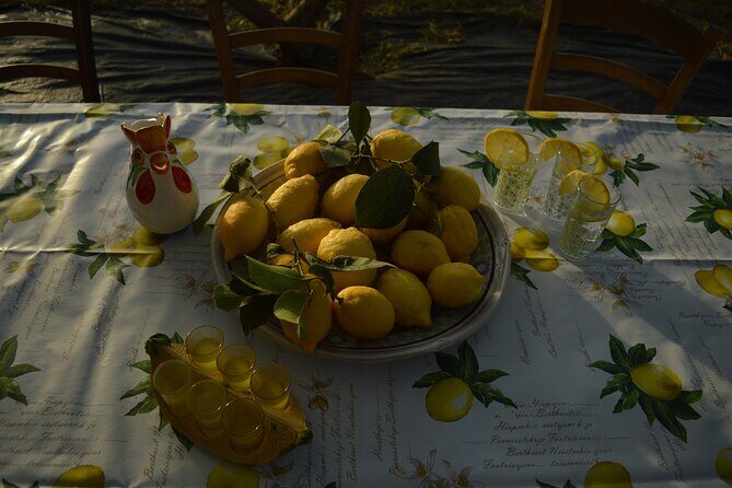 Discovery Tour of Sorrento Lemon in Massa Lubrense - Exploring the Authentic Sorrento Lemon Experience