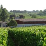 Discovery visit of Château Rol Valentin with tasting - Why This Tour Stands Out