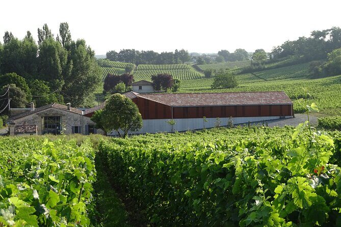Discovery visit of Château Rol Valentin with tasting - Why This Tour Stands Out