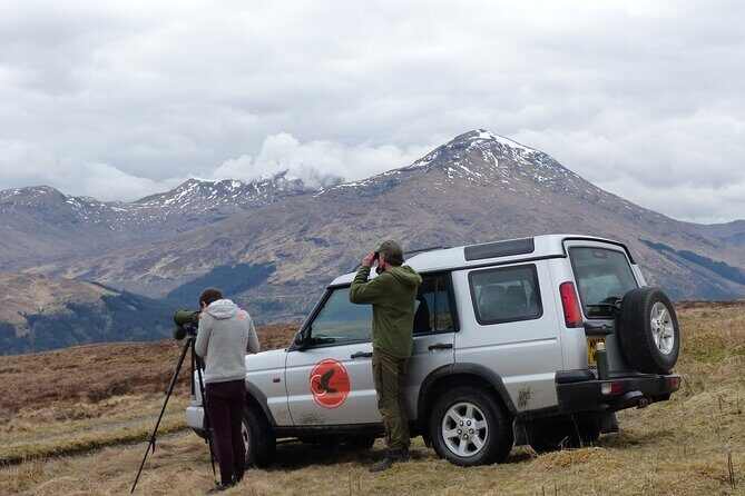 Discovery Wildlife Safari - The Value of the Discovery Wildlife Safari