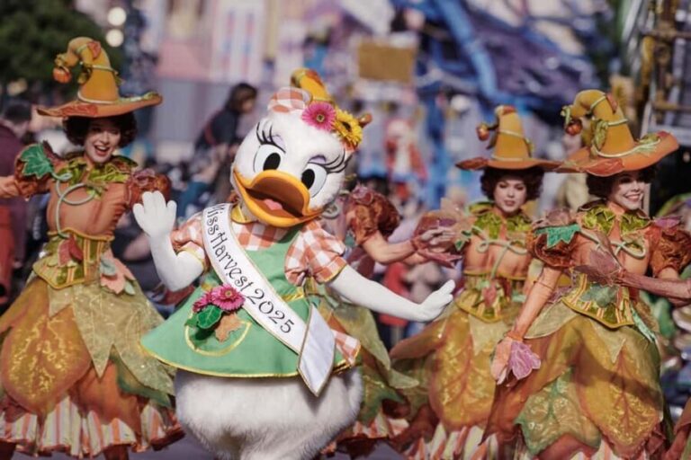 Disneyland® Paris Tickets and Shuttle Transport - Price and Value Analysis