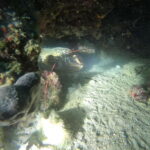 Diving - What’s Included and What to Bring