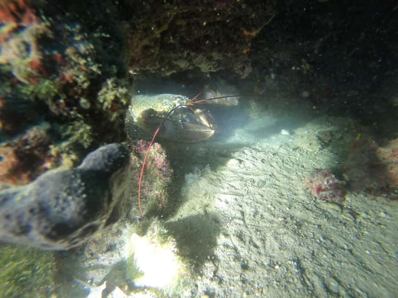 Diving - What’s Included and What to Bring