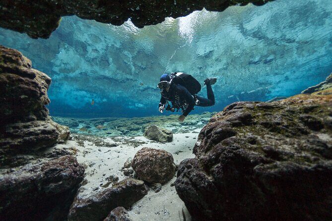Diving experience in Polignano a Mare with certification - In-Depth Review of the Polignano a Mare Diving Experience