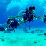 Diving For People Without Experience - Final Thoughts