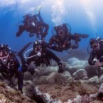 Diving guided by the Diving Center (with full equipment) - A Detailed Breakdown of the Itinerary